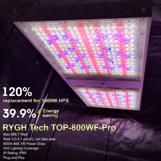Iluminación de horticultura Lámpara de planta hidropónica de cultivo interior Toldo superior de cultivo vertical impermeable Mejor espectro completo Rojo UV IR 600W 800W 1000W Luz de cultivo LED