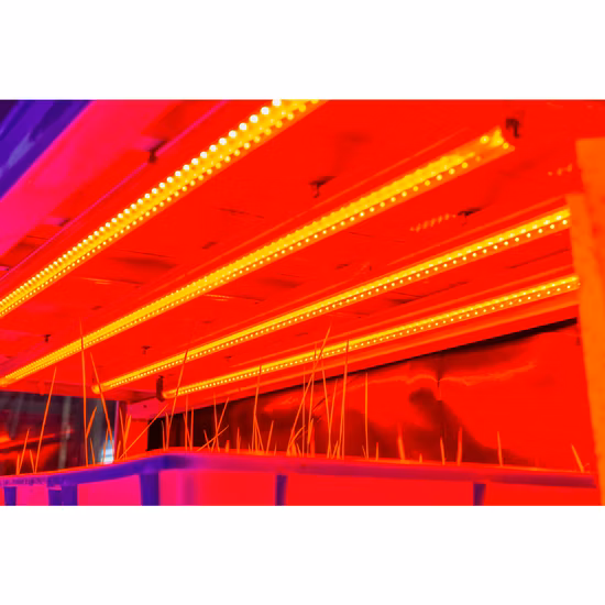 Lámpara de crecimiento de tubo de planta LED completa